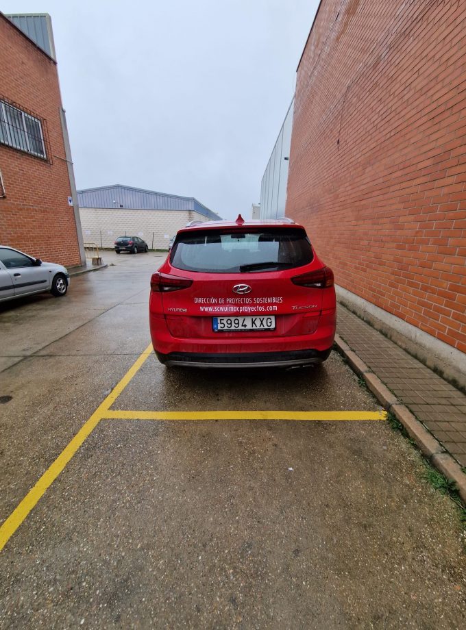 Rotulación de vínculos